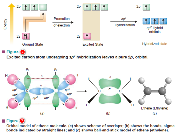 Hybridization And Shapes Of Molecules Read Chemistry