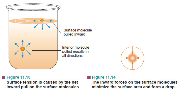 Determination of Surface Tension