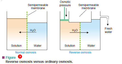 Theories of Osmosis