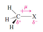 Physical Properties of Alkyl Halides