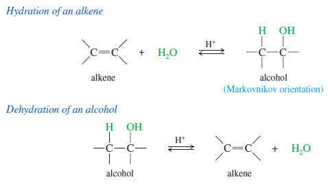Addition of Water: Hydration of Alkenes