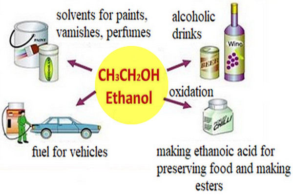 Commercially Important Alcohols