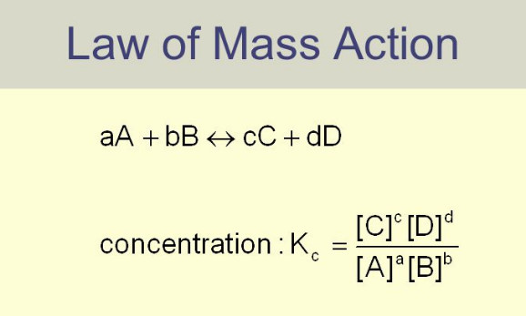 Law Of Mass Action | Read Chemistry