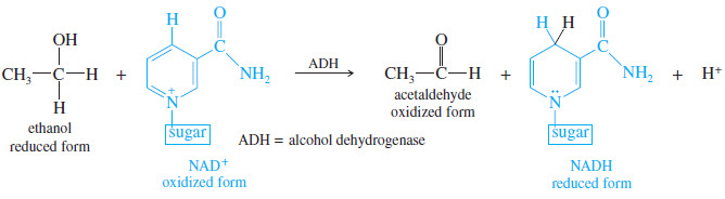 Biological Oxidation of Alcohols