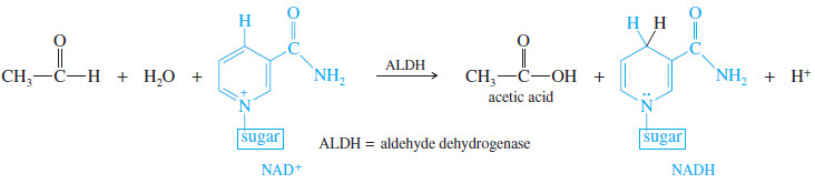 Biological Oxidation of Alcohols