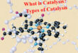 Types of Catalysis