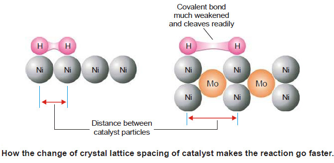 Characteristics of Catalytic Reactions