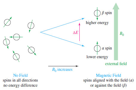 NMR - Theory of Magnetic Nuclear Resonance