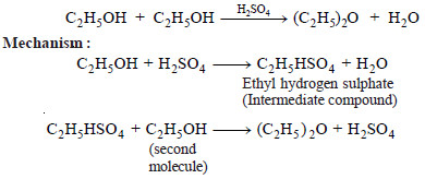 Theories of catalysis