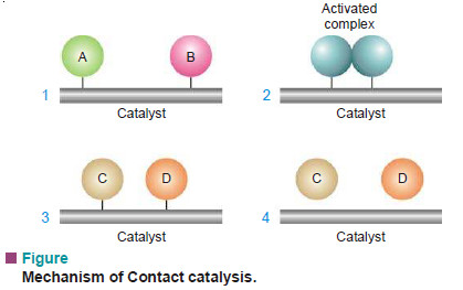 Theories of catalysis