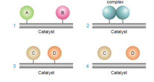 - There are two main theories of catalysis: (1) Intermediate Compound Formation theory. (2) The Adsorption theory. - In general, the Intermediate Compound Formation theory applies to homogeneous catalytic reactions and the Adsorption theory applies to heterogeneous catalytic reactions.