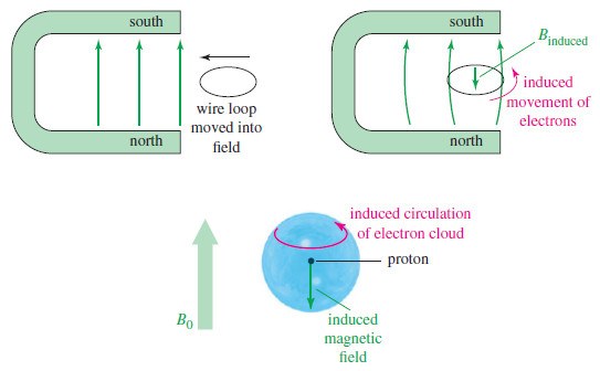 Magnetic Shielding by Electrons