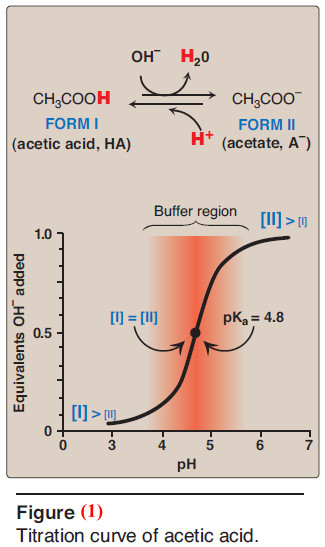 Properties of Amino acids - Acidic and Basic Properties