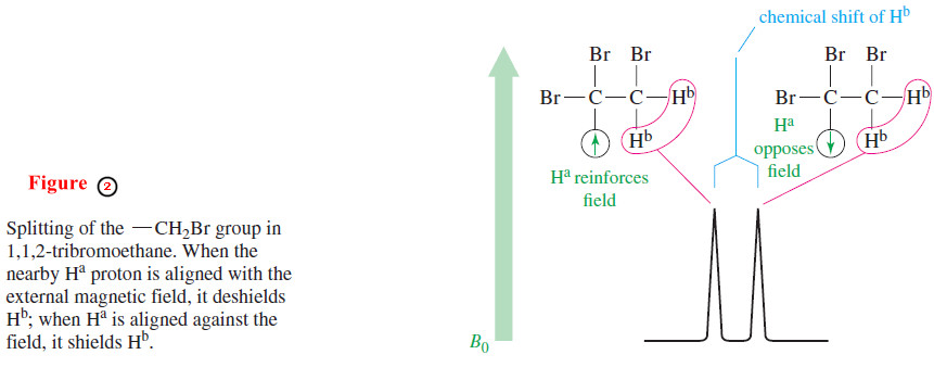 Spin-Spin Splitting in ¹H NMR Spectra