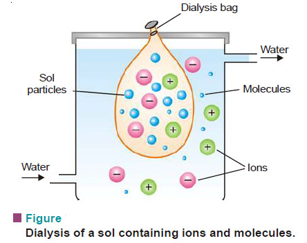 Preparation of Sols and Purification of Sols