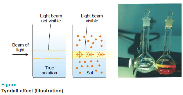 Optical Properties of Sols