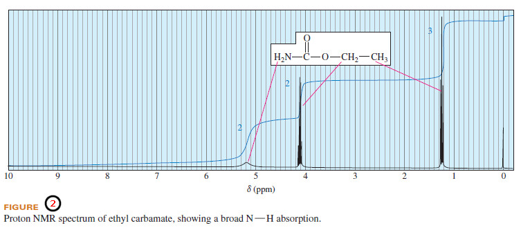 Time Dependence of NMR Spectroscopy