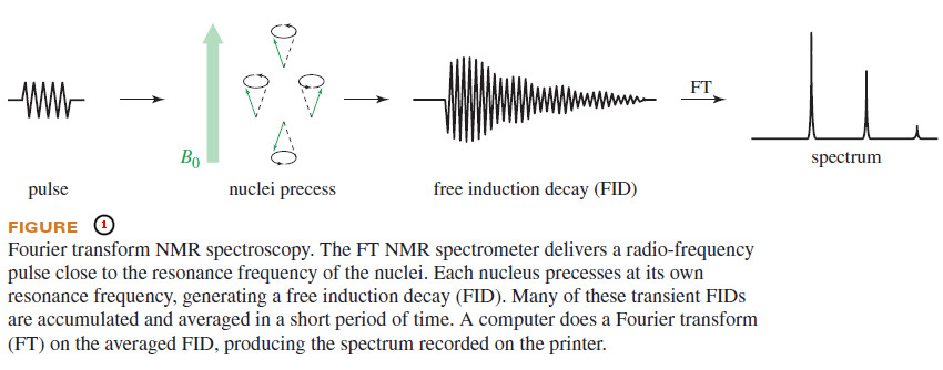 NMR Spectroscopy