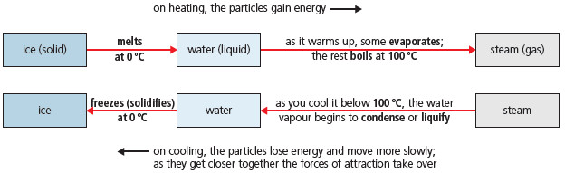 Solids, liquids, and gases.