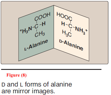 Amino acids - Structure of Amino acids