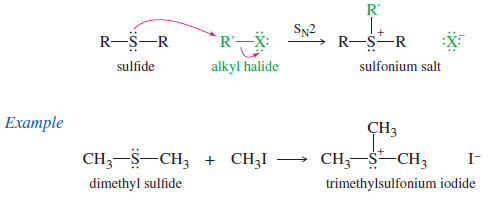 Thioethers (sulfides) and Silyl Ethers