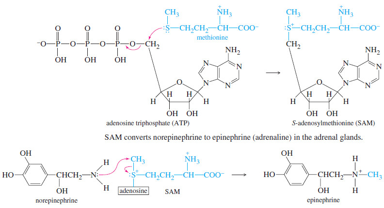 Thioethers (sulfides) and Silyl Ethers