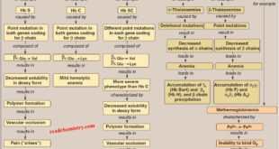 Hemoglobinopathies